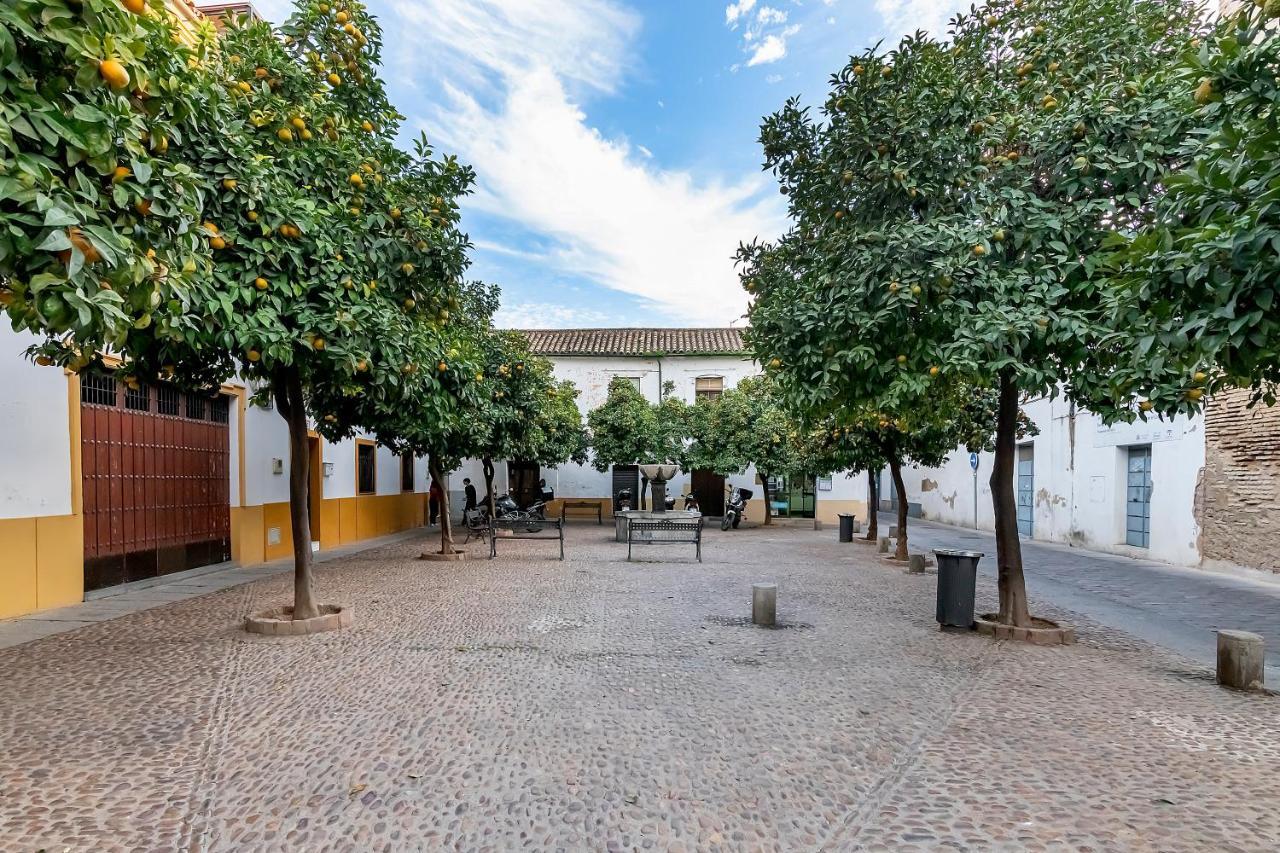 Bhost - Regina IV Lägenhet Córdoba Exteriör bild